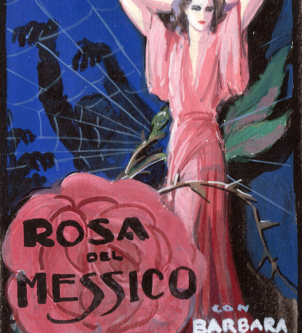 Rosa del Messico – Schizzo